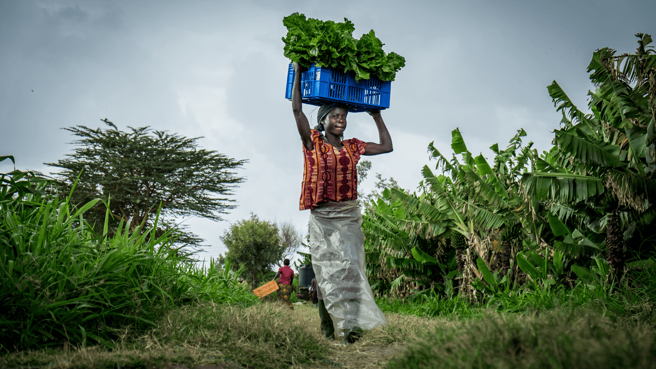 Agriculture